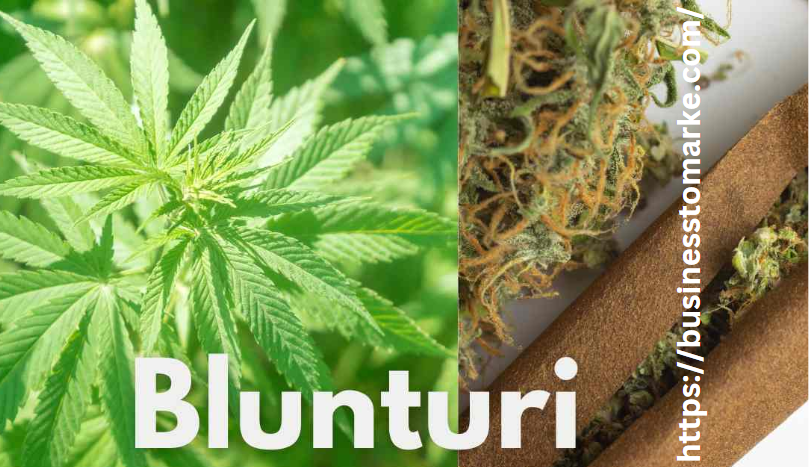 Blunturi